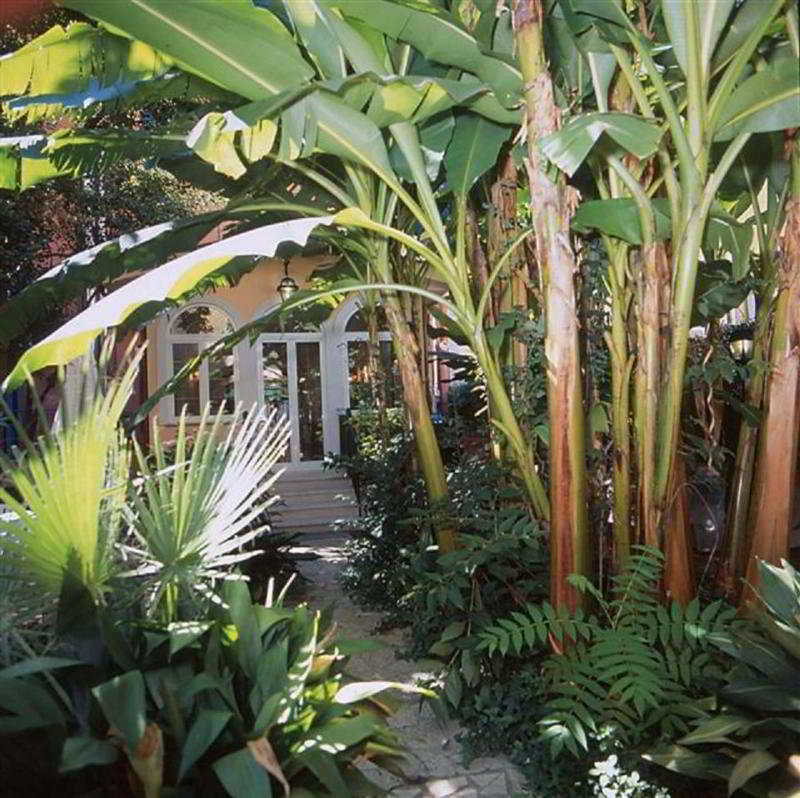 Hotel Astoria Garden Rom